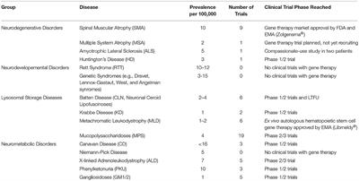 Current and Future Prospects for Gene Therapy for Rare Genetic Diseases Affecting the Brain and Spinal Cord